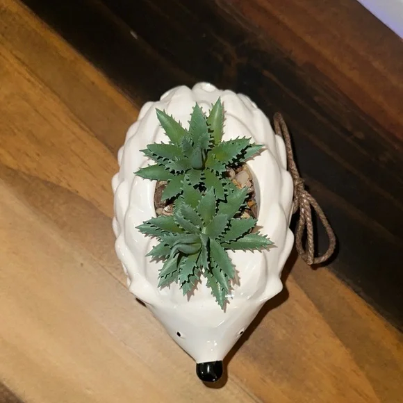 LIMITED TIME $5 ITEM!! Adorable Ceramic Hedgehog Planter with Green Succulents - Picture 3 of 3